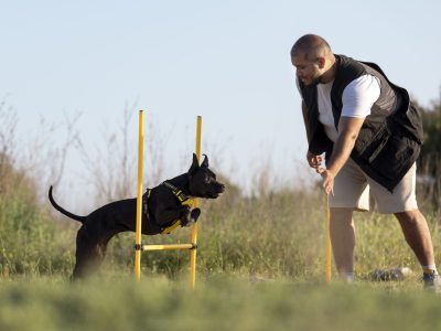 dogsecurity1 dogsecurity1